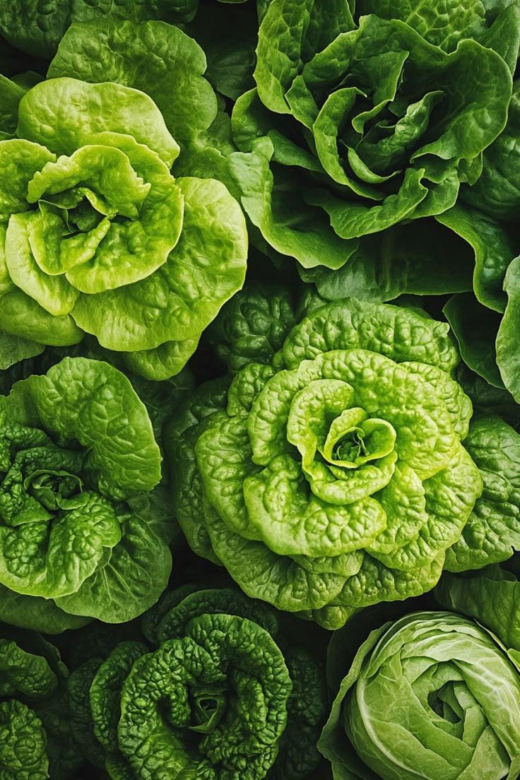 Harvest Bounty: Fresh Picked Garden Delights